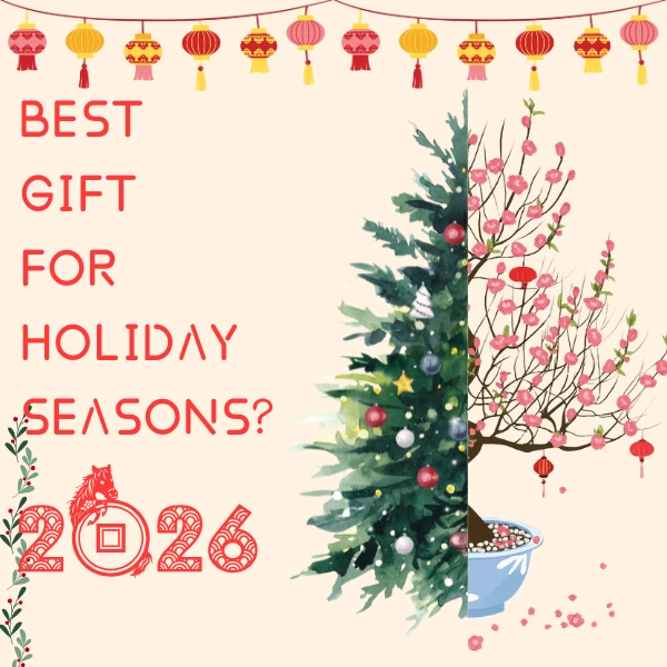 The Best Processed Gifts for Festive Gifting?